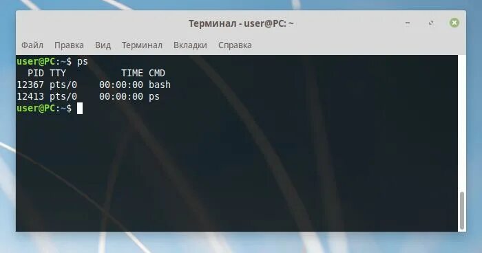 Команда PS Linux. Текущий процесс в Linux. Команда процессы Linux. User terminal