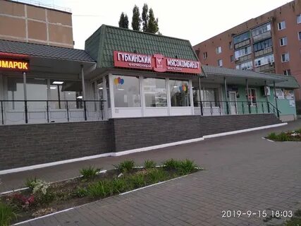 Магазины губкина