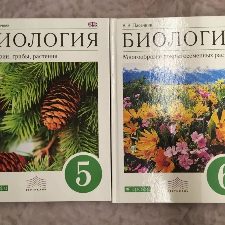 Пасечник 5 класс купить. 6 Класс Пасечник в.в. «биология. Многообразие растений»;. Биология 6 класс Пасечник. Пасечник в. в. биология. 6 Класс // Дрофа.. Биология 6 класс ботаника Пасечник.