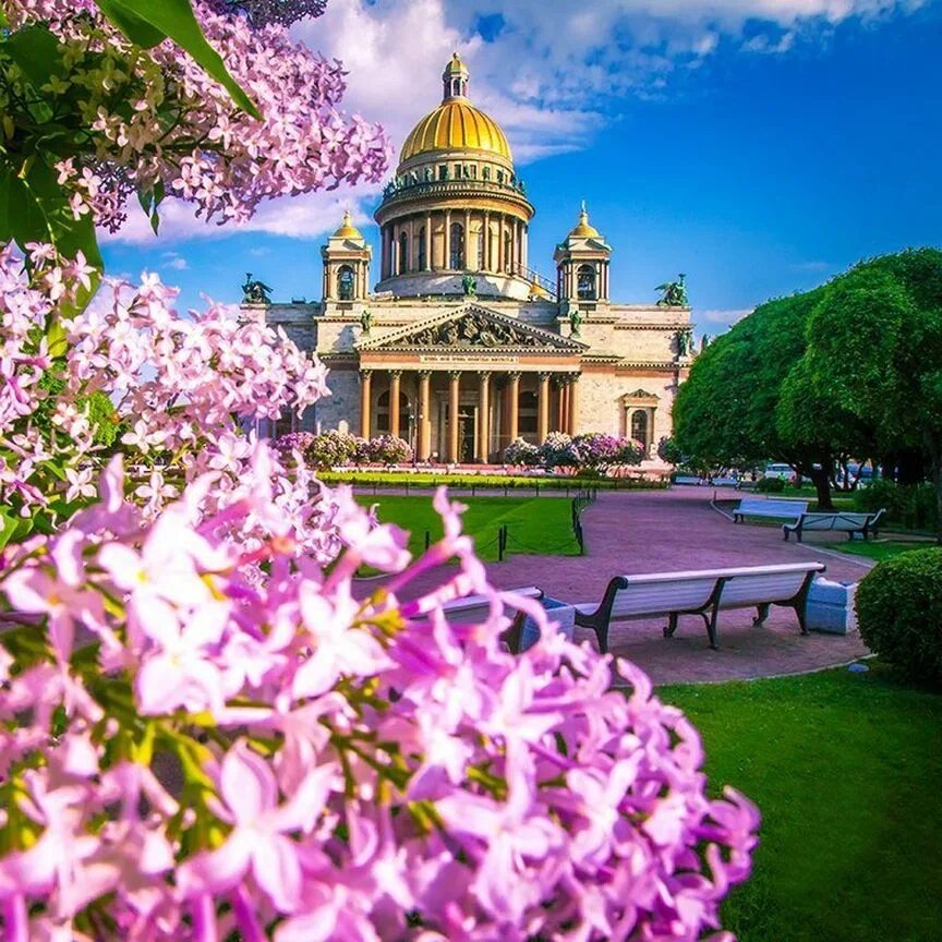 Будет лето в питере