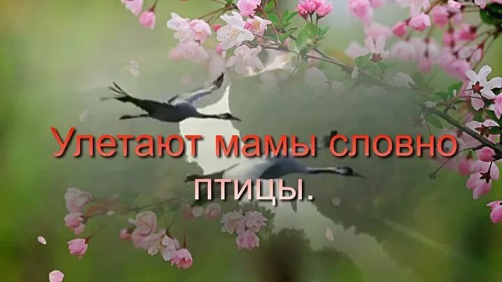 Чувство улетели песня. Улетают мамы словно птицы. Улетают мамы улетают. Стих улетают,улетают мамы. Песня улетают мамы.