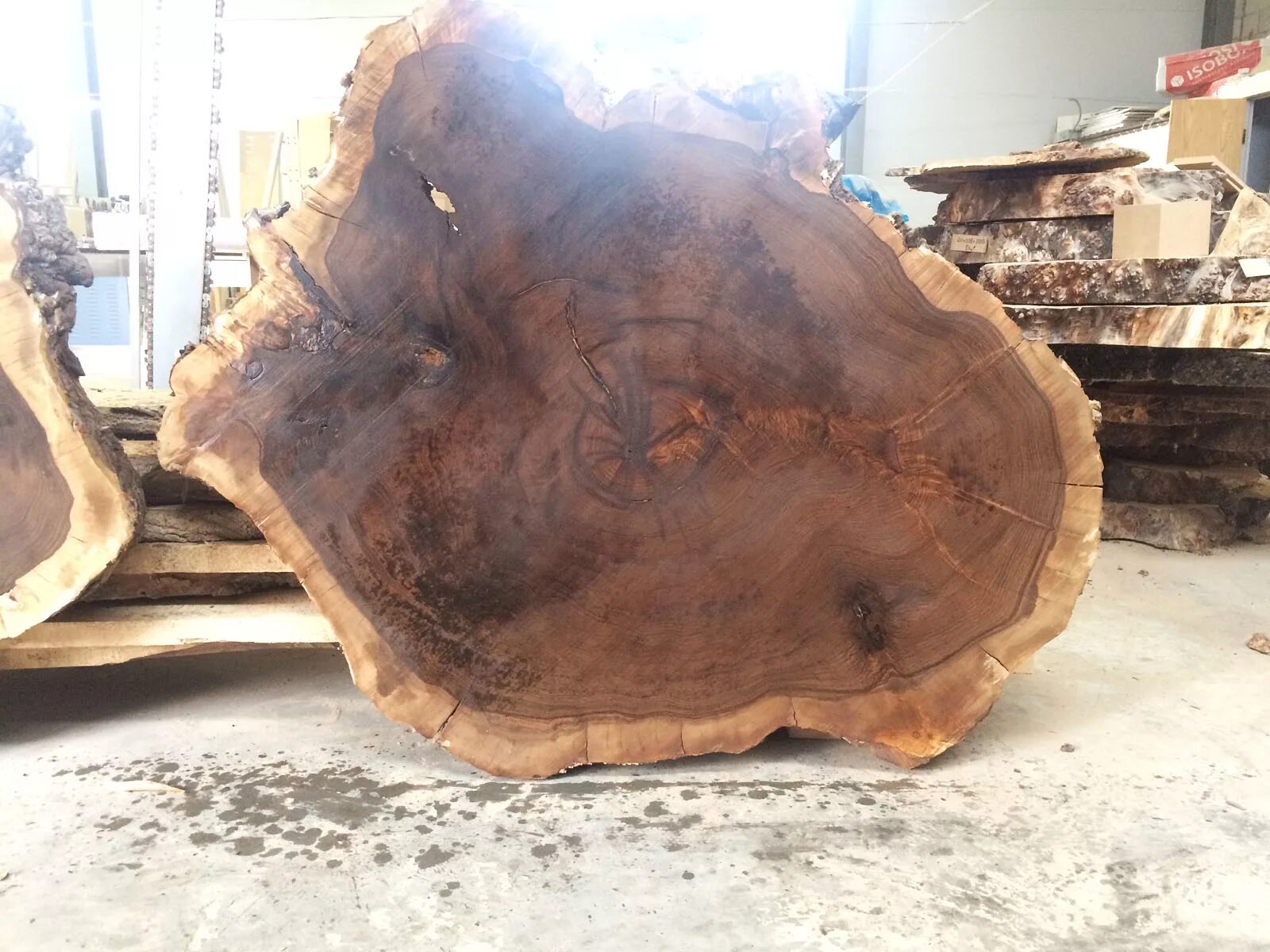 слэб грецкого ореха. древесина грецкого ореха срез. маньчжурский орех древесина. распил ореха. распил ореха.