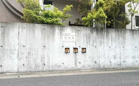 Japan hole