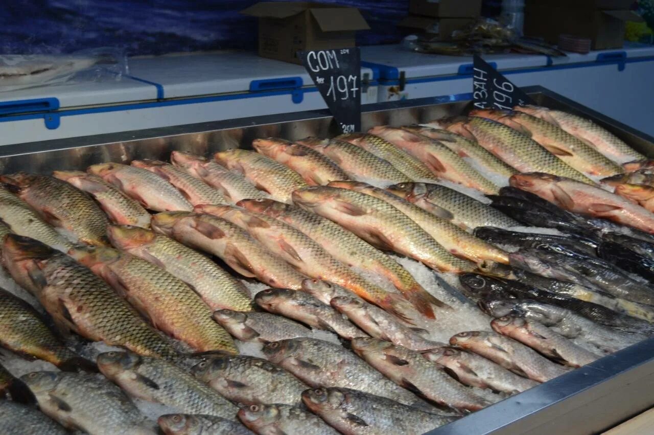 Купить рыбу в твери. Рыбный рынок Владивосток первая речка. Рыба на рынке. Рыб продаете. Свежая рыба.