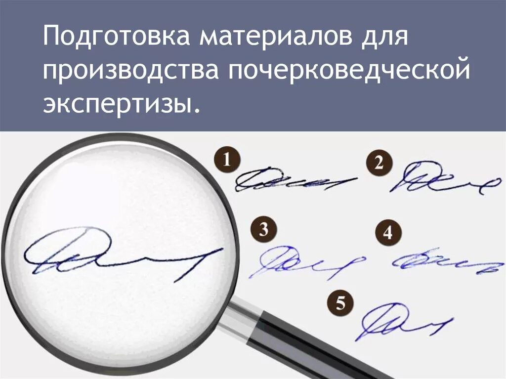 Назначьте почерковедческую экспертизу. Судебно-почерковедческая экспертиза. Исследование документов в криминалистике. Экспертиза подписи. Исследование почерка.