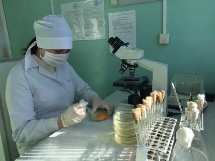 Ветеринарно санитарная экспертиза это