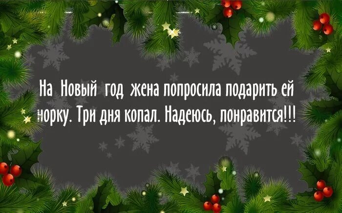 Статусы про новы. Афоризмы про новый год. Веселые статусы про новый год. Цитаты о новом годе. Цитаты про новый год.