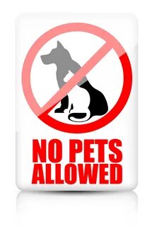 Pets allowed