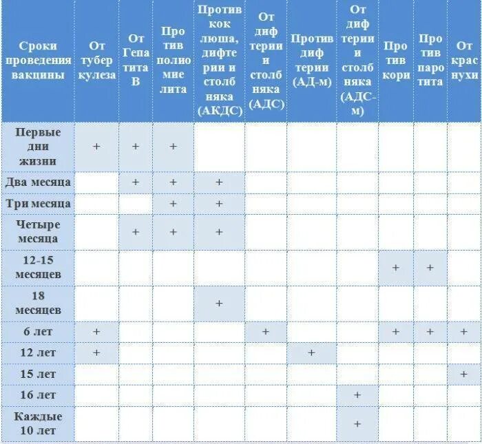 Таблица детских прививок. График прививок для детей до года 2022. График прививок для детей до 3 лет в России 2021 таблица. График прививок для детей до 5 лет в России. Календарь прививок для детей до 1 года 2022.
