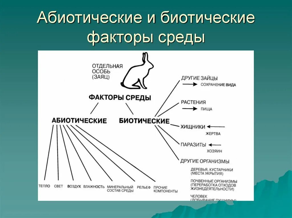 Абиотическими факторами природной среды. Биотические и абиотические факторы среды. Факторы воздействия абиотические биотические. Биотические факторы среды и абиотические факторы среды. Схема факторы среды абиотические и биотические.