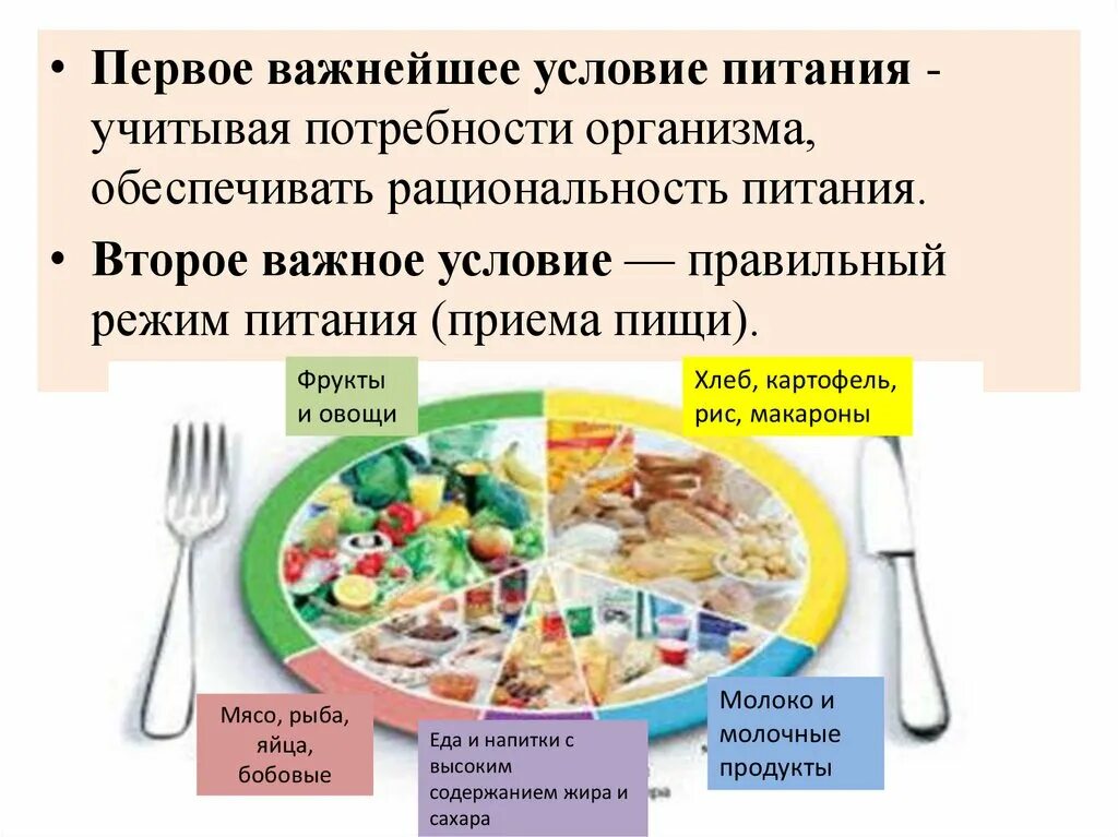 Как пройти питание. Потребность в приеме пищи. правильное питание и пищевое поведение. условия приема пищи. условие питания человека.