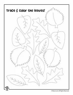 Leaves worksheets