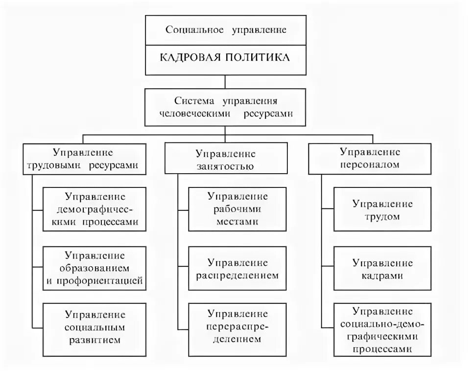 Региональная государственная кадровая политика. Структура кадровой политики организации. Региональная кадровая политика. Иллюстрации объектов кадровой политики. Объекты кадровой политики схема.