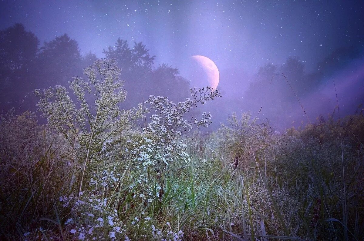Природа ночью. Летняя ночь. Лунная ночь. Весенняя ночь. Озаренный светом луны