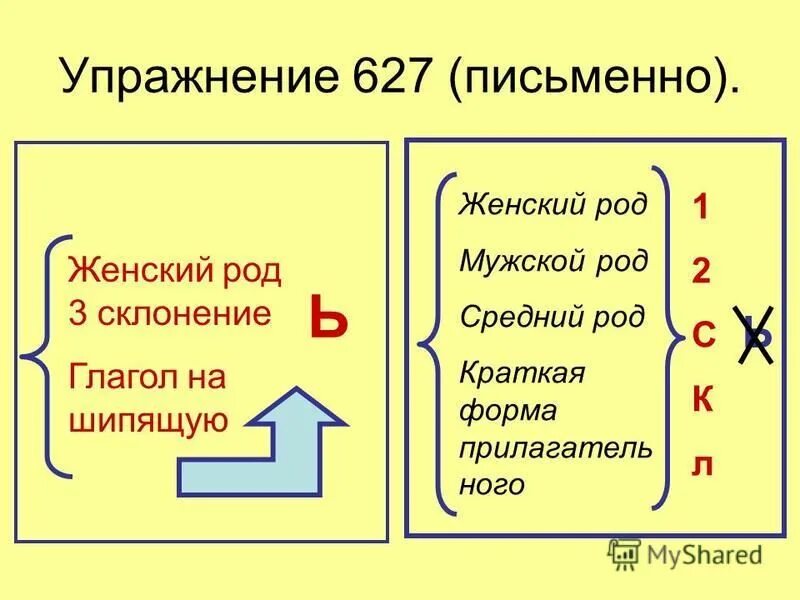 женский род 3 склонение шипящие