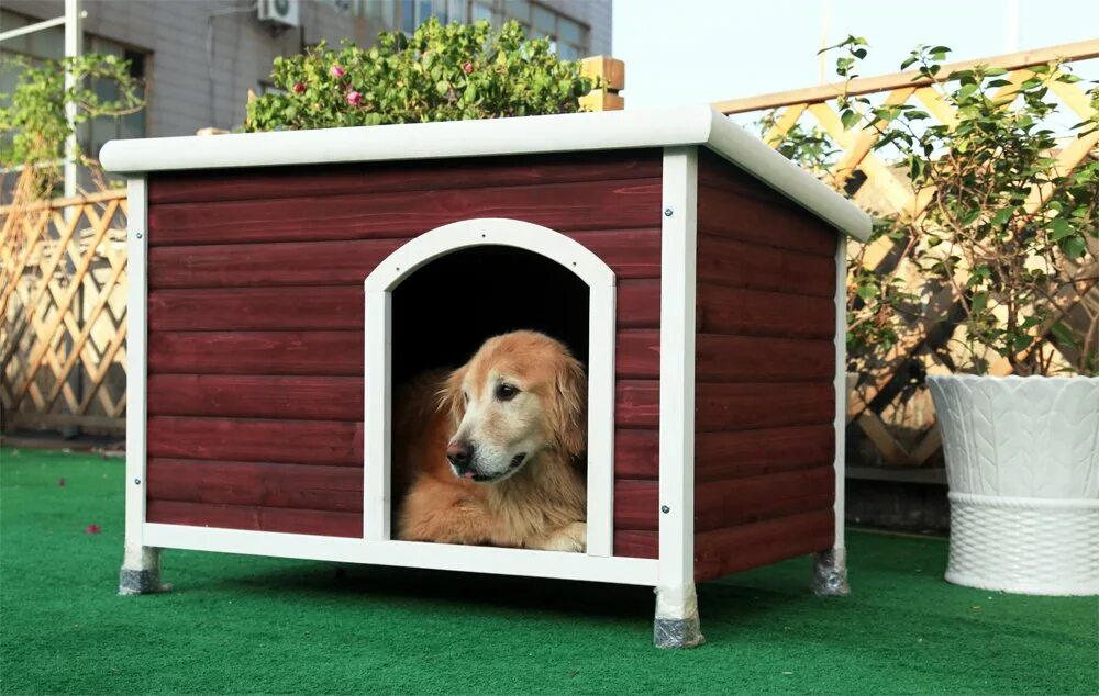 Новый Dog House. Dog House megaweys1800х400. Dog House мерч. Doghouse Digital фото. Играть в dog house dogs house net