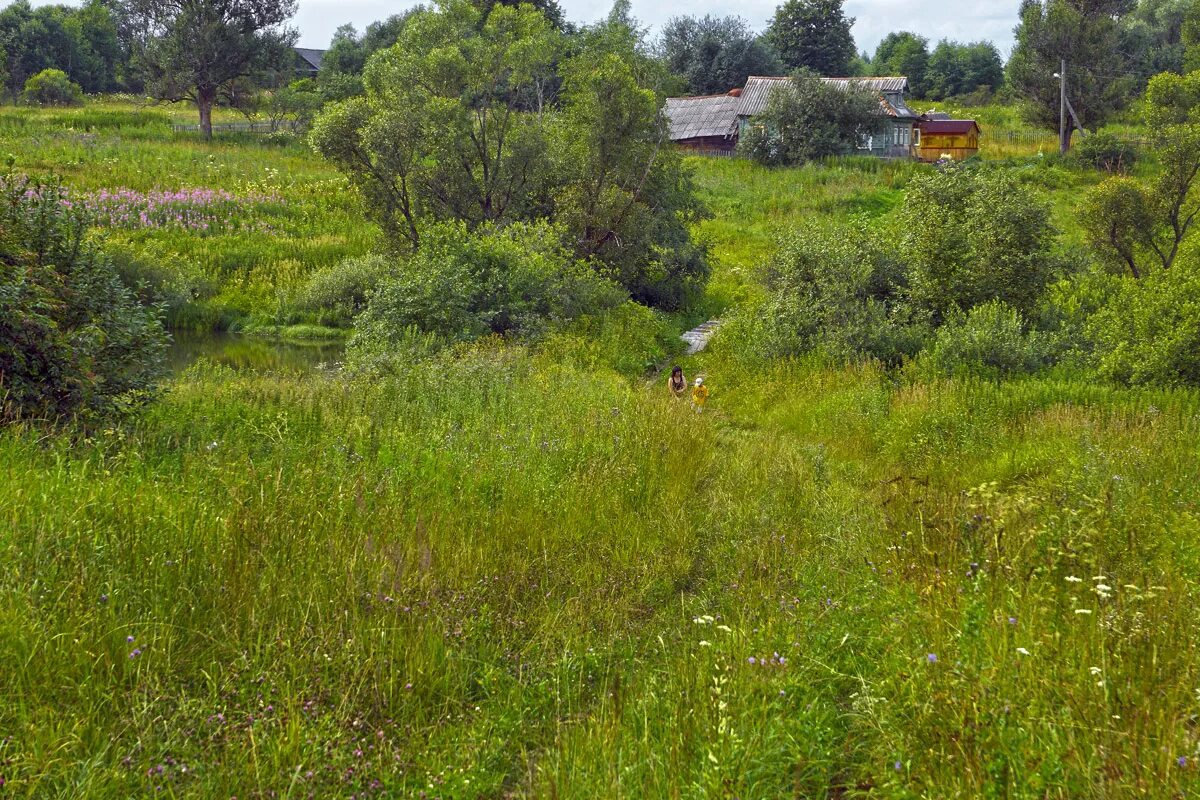 Деревня ивановское