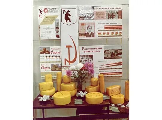 Cheese ростов. Cheese ростов. Халуми геншин. Рязанский завод плавленных сыров. Cheese ростов.
