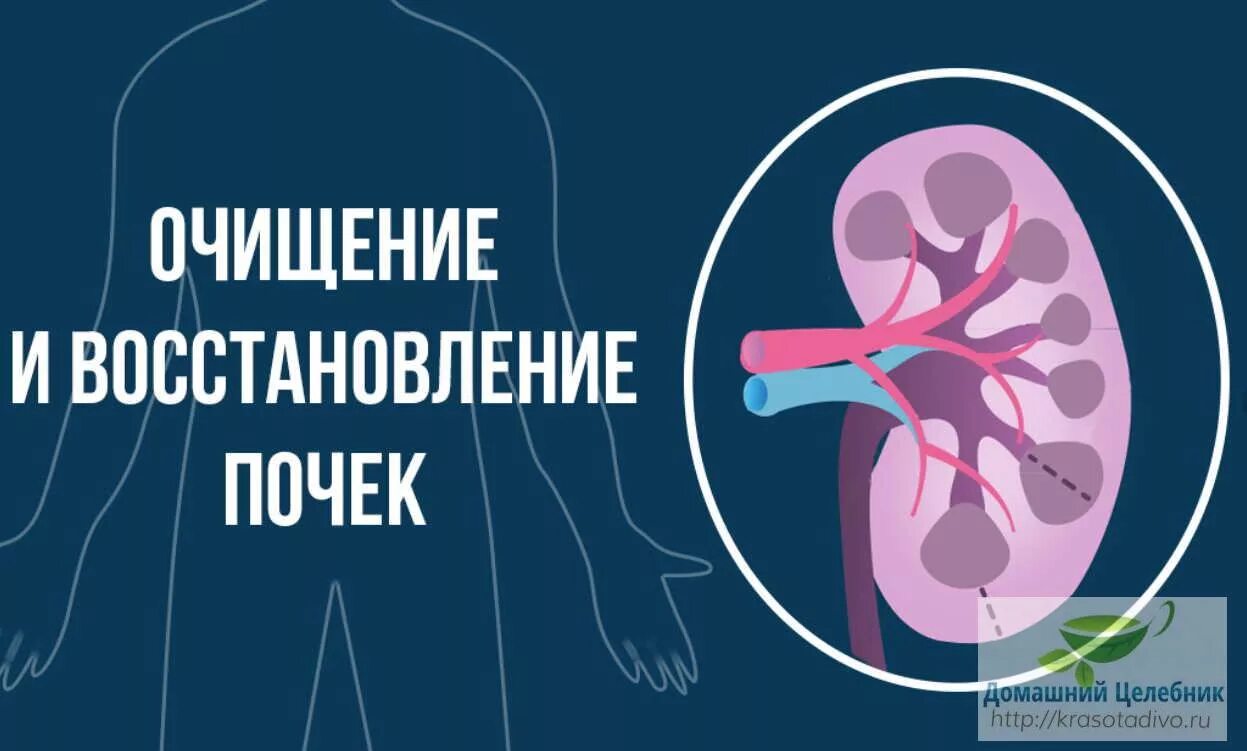 Почки головокружение