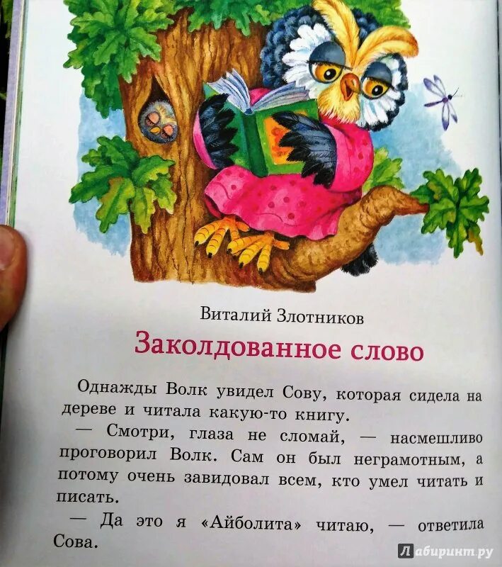 Заколдована слова. Заколдованное слово. Заколдованное слово читать. Сказка Заколдованное слово читать Злотников.