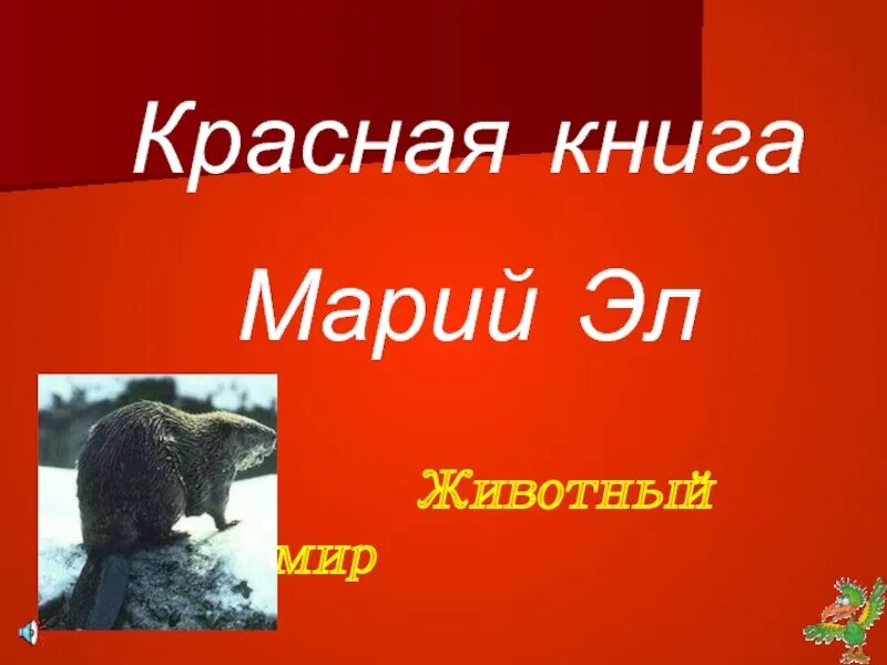 Красная книга республики марий эл животные. Республика марий эл красная книга животных. животные красной книги марий эл. животные красной книги мариийэл. редкие животные республики марий эл.