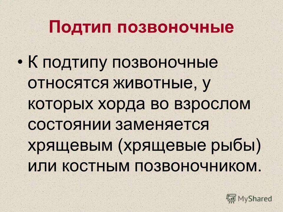 признаки млекопитающих у человека. почему человек относится к хордовым. почему человек относится к хордовым. общие признаки строения хордовых. как доказать что человек часть органического мира ответы.