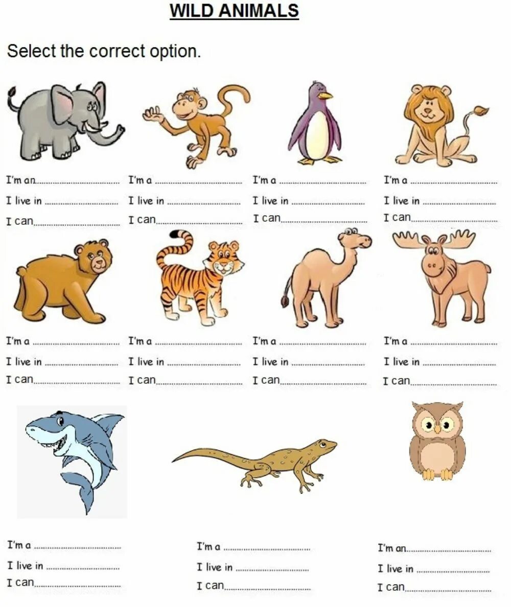 Английский язык 3 класс дикие животные. Английский язык Wild animals Worksheets. Worksheets животные. Животные на английском Worksheets. Дикие животные на английском для дошкольников.