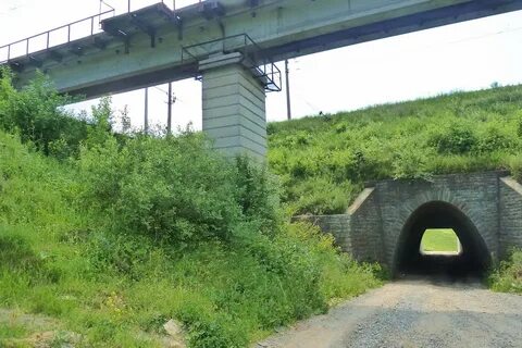 Почему сухой лог сухой лог
