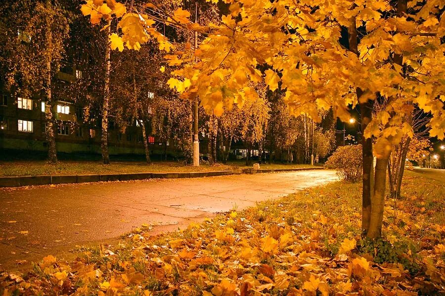 под октября. под октября. ноябрь уж наступил уж роща отряхает последние листы. осень октябрь природа. поздняя осень кусково.