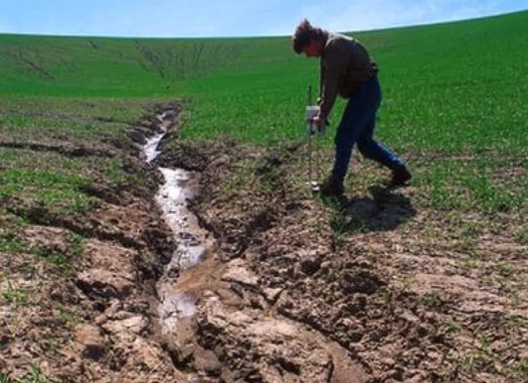 Сохранение и восстановления почв. Эрозия ветровая и водная. водная эрозия почв. ирригационная эрозия. защита почв от водной эрозии.