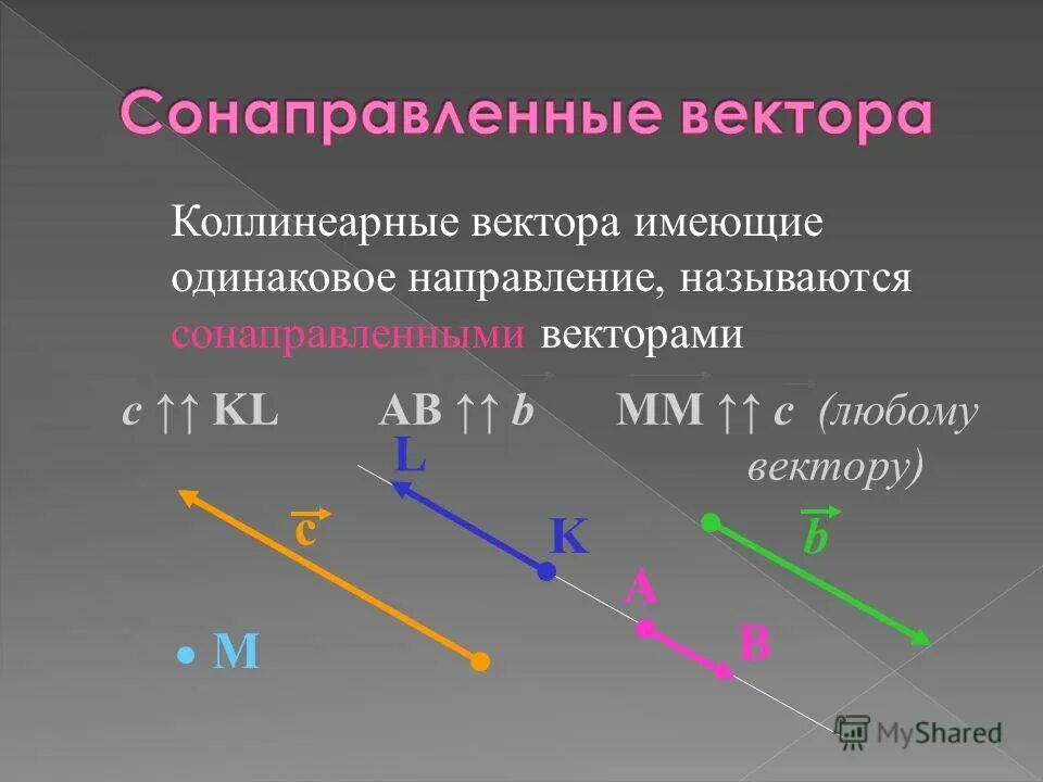 укажите вектор коллинеарный вектору а 6 2