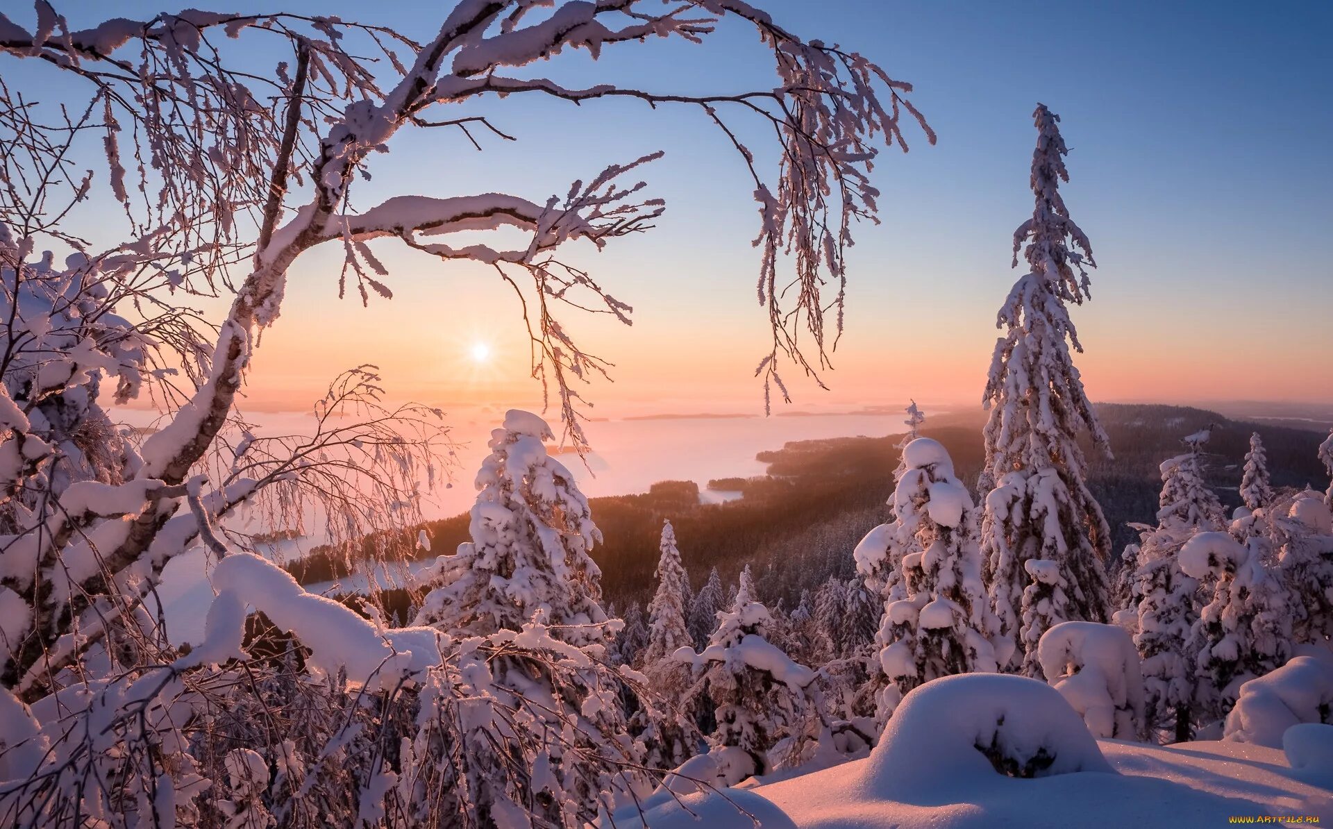 Что интересного в природе зимой. Красота зимы фото. зимний вид. финляндия природа зимой. красивый вид зимой.