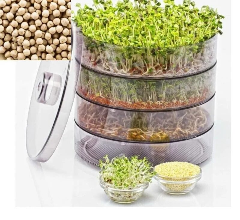 Грунт для микрозелени. Проращиватель keimgerat biosnacky (a.vogel). проращиватель sprossengarten biosnacky (a.vogel). микрозелень чиа. прорастание микрозелени.