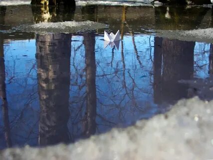 Вода в ручейке холодная и прозрачная