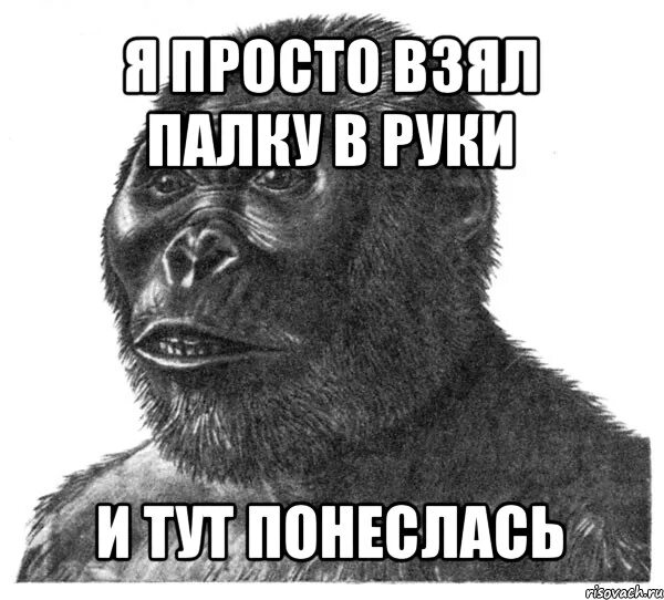 Тут там понеслась. Обезьяна с палкой Мем. Обезьяна взяла в руки палку Мем. Шимпанзе мемы. Мемы с обезьянами с надписями.