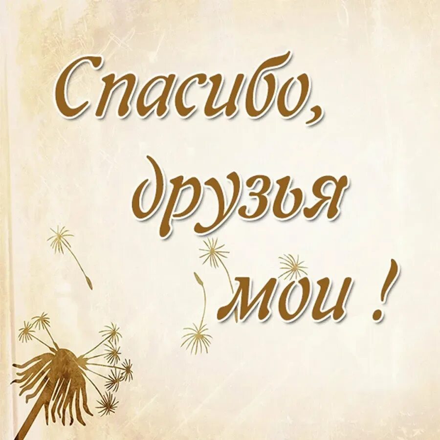 Благодарность за то что пришли. Спасибо друг. Спасибо за поздравления. Открытка спасибо за поздравления. Спасибули за поздравления.