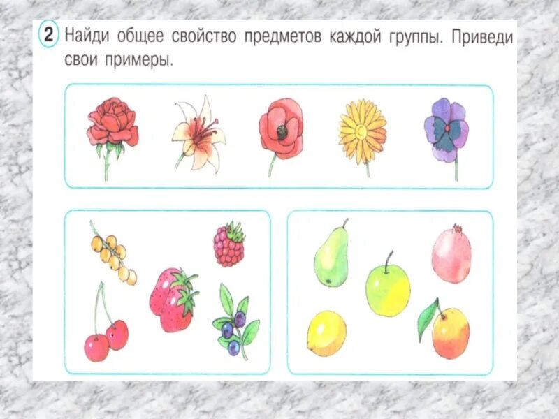 Найди общее д