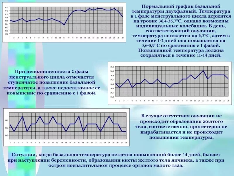 Ректальная температура тела. График температуры менструационного цикла. При нормальном менструальном цикле базальная температура однофазная. Базальная температура первая менструационного цикла. График ректальной температуры во второй фазе цикла.