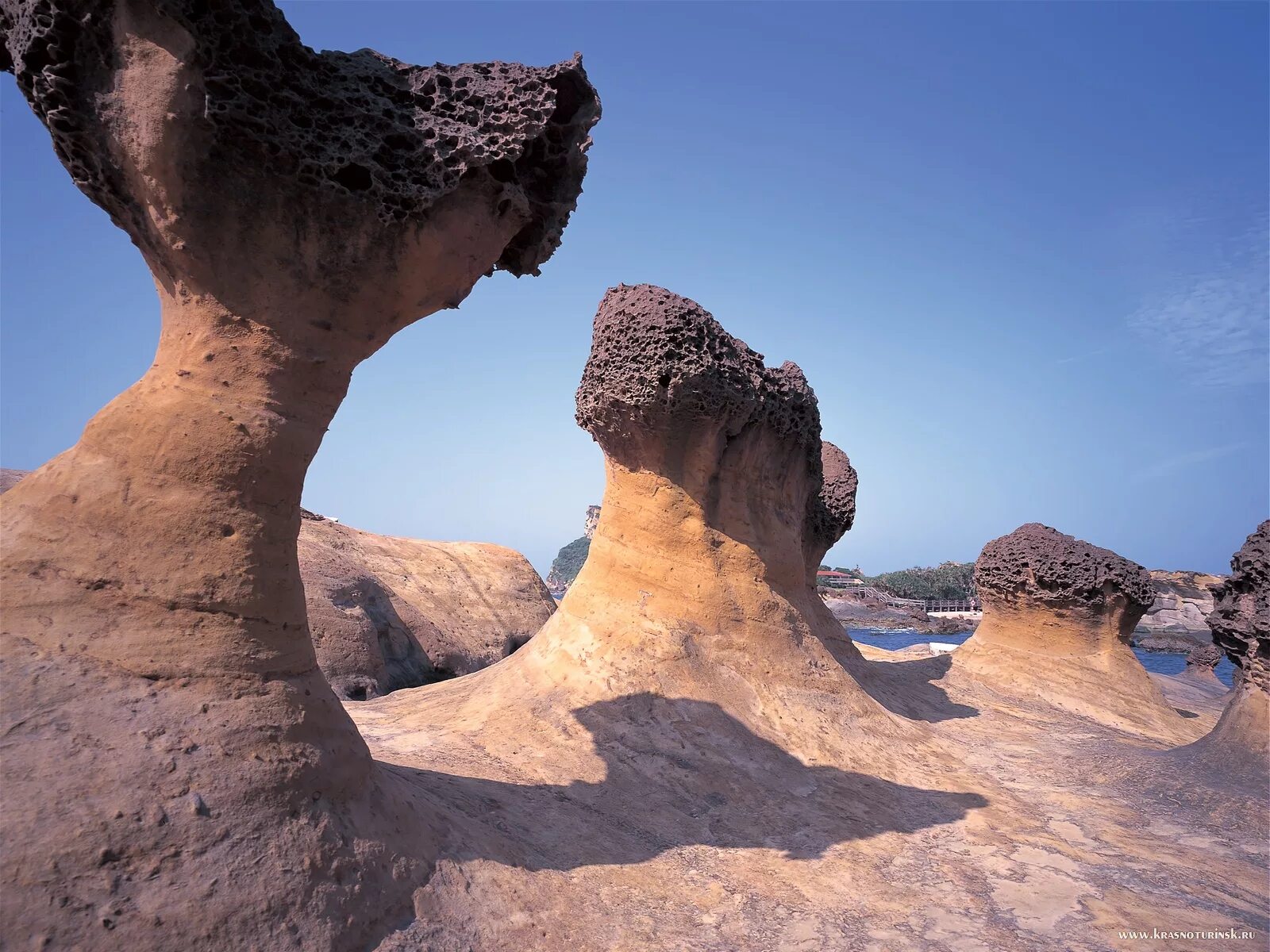 Каменные грибы Аризона. Причудливые формы. Физическое выветривание. Причудливые формы рельефа.
