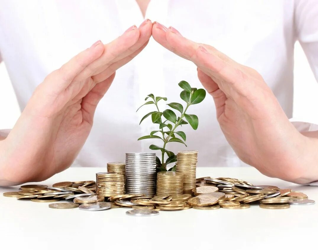 уплата налогов. достаток и благополучие. уплата налогов забота о сохранении. имущественные налоги физических лиц. обязанности граднанина р.