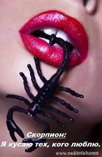 Scorpio Woman, Halloween Face Makeup, Lipstick, Beauty, Sloth, Lady, Univer...
