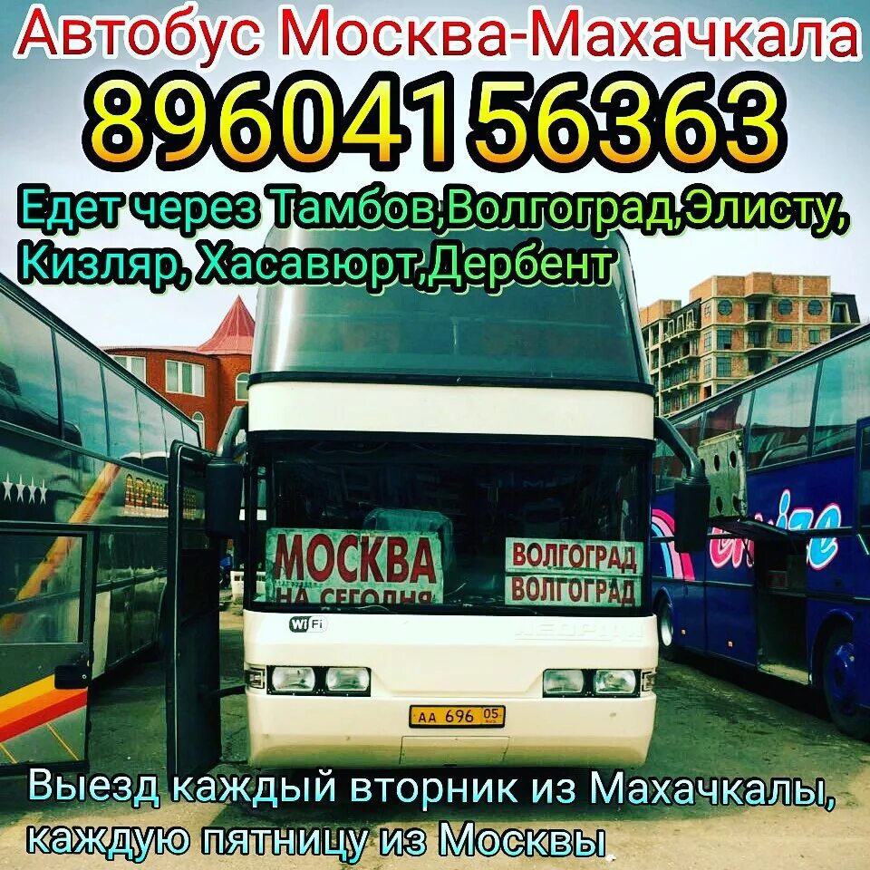 Автобусы махачкала телефон. Автовокзал Москва Махачкала. Махачкала Москва автостанция. Автобус Москва Махачкала. Москва-Махачкала автобус расписание.