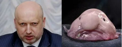 Рабы капля