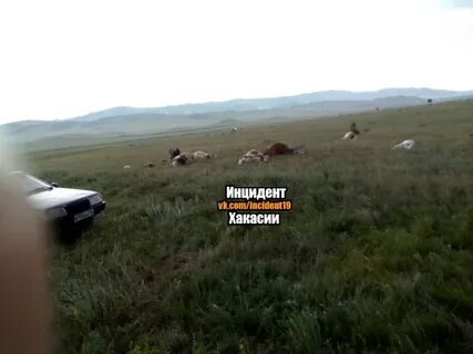 Погода в усть бюре хакасия