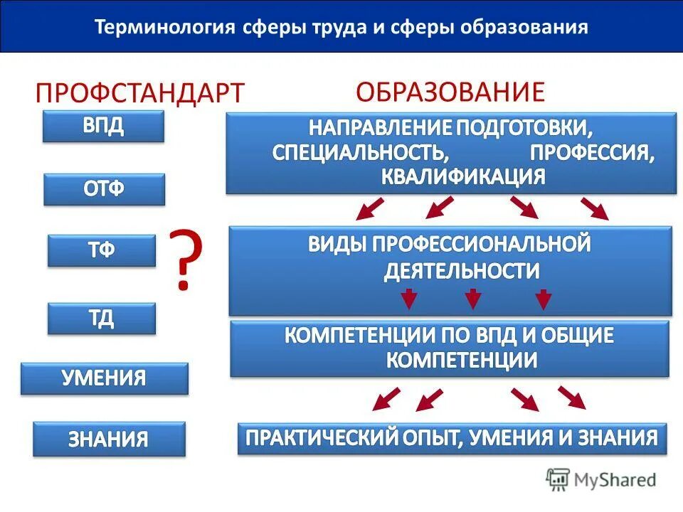 понятие образование система образования. термины сферы образования. квалификация воспитателя. образование это социальная сфера. понятие it сферы.
