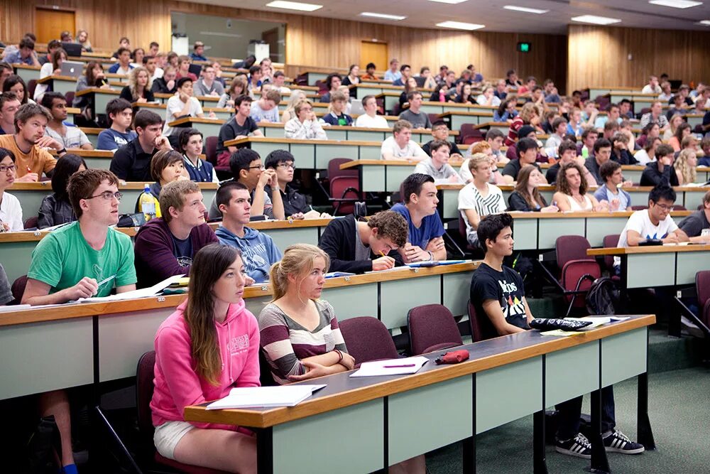 The students are the lecture. Лекция в университете. Университетская лекция. Лекция в университете картина. Высшее образование.