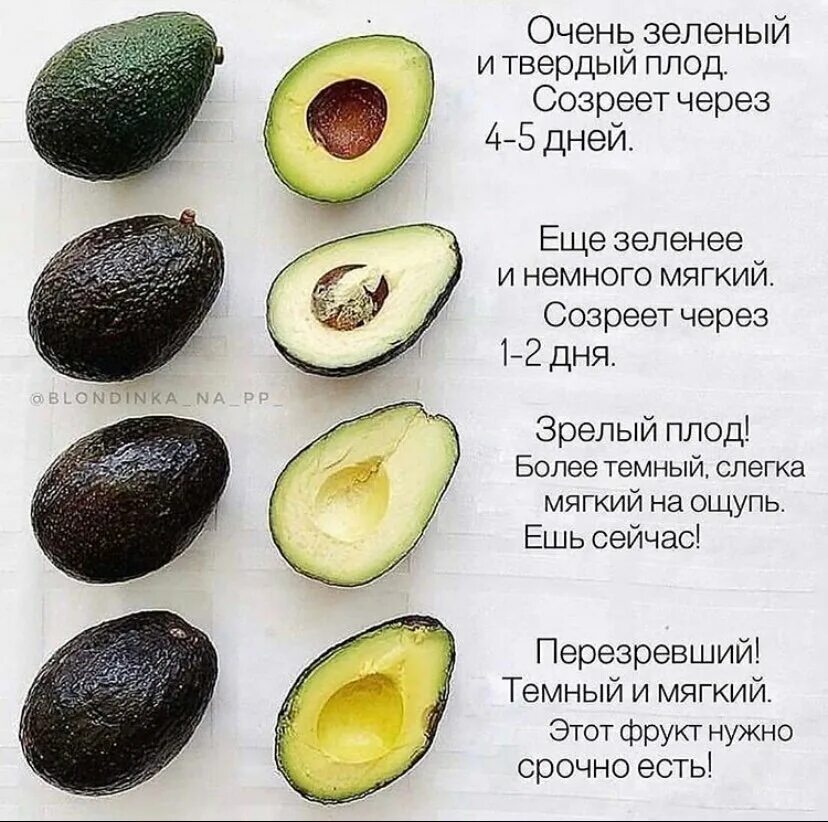 Можно ли есть зеленый авокадо