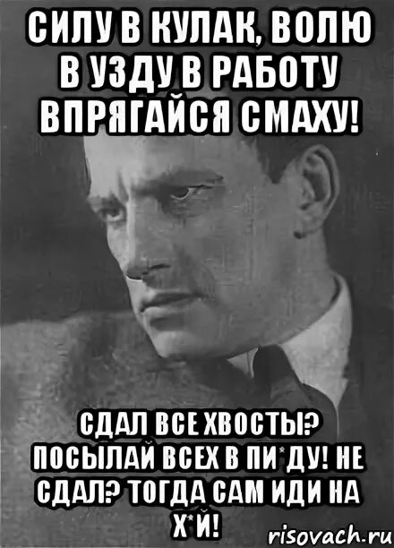 Хотя волею волею. Мысли свои Собери в узду. Силу в кулак волю в узду. Стих Маяковского выполнил план посылай. Силу в кулак волю в узду Маяковский.