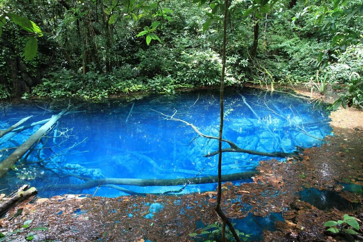 Водоем с голубой водой. Пруд с голубой водой. Пруд с прозрачной водой. Пруд с голубой прозрачной водой. Озеро с синей водой