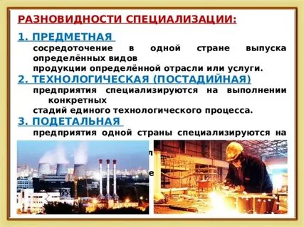 Этапы специализации